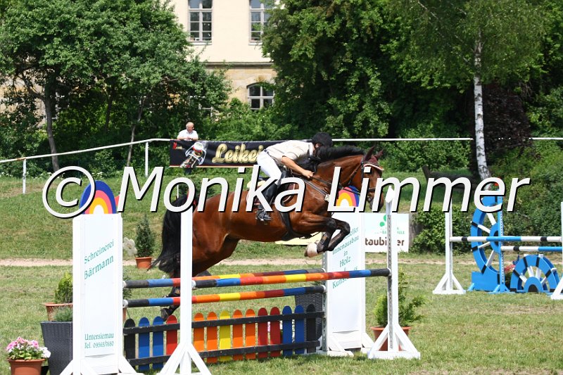 105M3697_Los Angeles_Spring_L.JPG